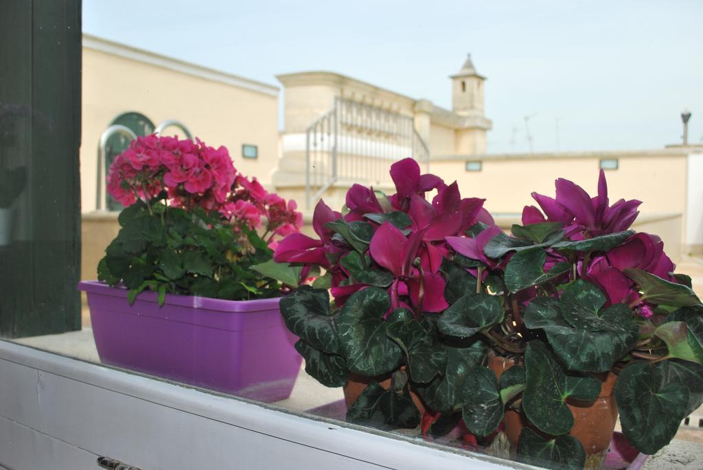 Palazzo Sottile Meninni - Classic Rooms Experience Gravina in Puglia Exterior foto